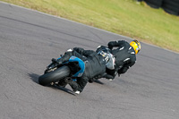 PJ-Motorsport-2019;anglesey-no-limits-trackday;anglesey-photographs;anglesey-trackday-photographs;enduro-digital-images;event-digital-images;eventdigitalimages;no-limits-trackdays;peter-wileman-photography;racing-digital-images;trac-mon;trackday-digital-images;trackday-photos;ty-croes